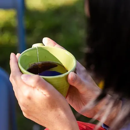 Ξενοδοχείο Ibis Budget Aeroport - A61 Καρκασόν